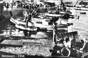 518- Nemours - Port 1956